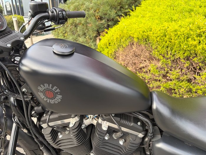2019 HARLEY-DAVIDSON XL883N IRON 883 Black