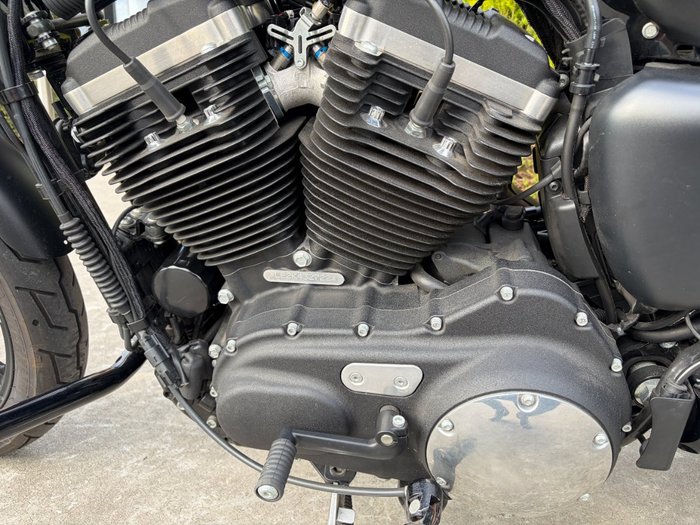 2019 HARLEY-DAVIDSON XL883N IRON 883 Black