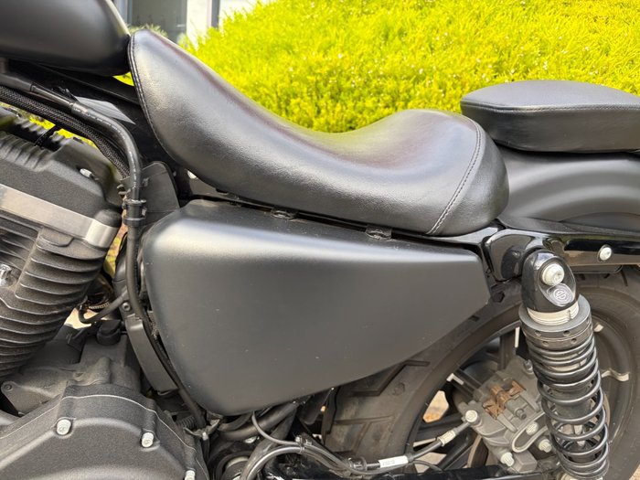 2019 HARLEY-DAVIDSON XL883N IRON 883 Black