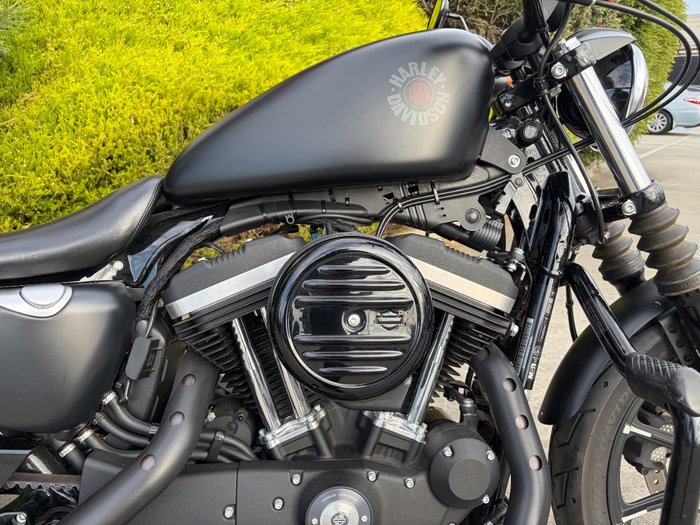 2019 HARLEY-DAVIDSON XL883N IRON 883 Black