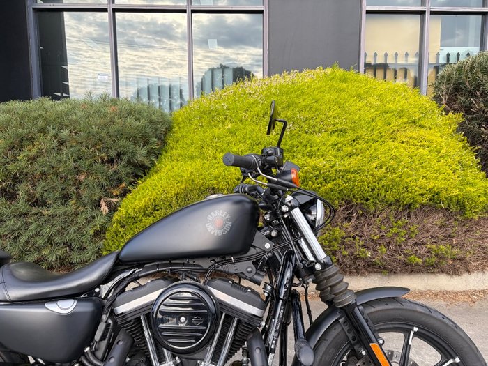 2019 HARLEY-DAVIDSON XL883N IRON 883 Black