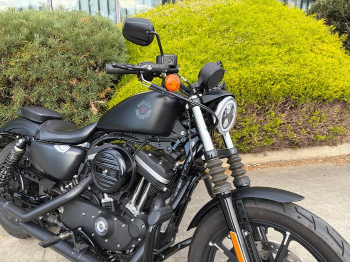 2019 HARLEY-DAVIDSON XL883N IRON 883 Black