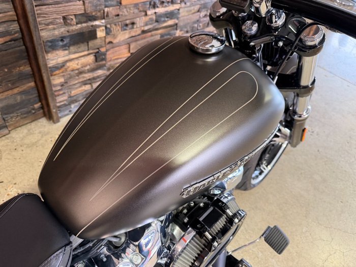 2020 HARLEY-DAVIDSON FXBRS BREAKOUT (114)