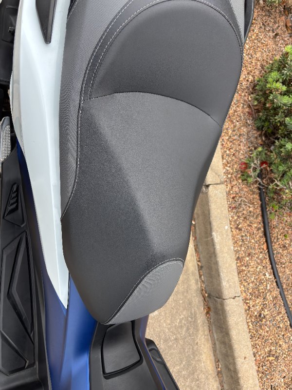 2019 Honda FORZA 300 (NSS300A) Blue