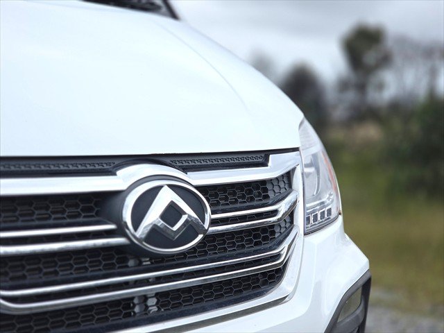 2019 LDV V80