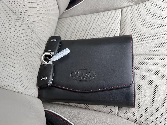 2019 Kia Carnival SLi