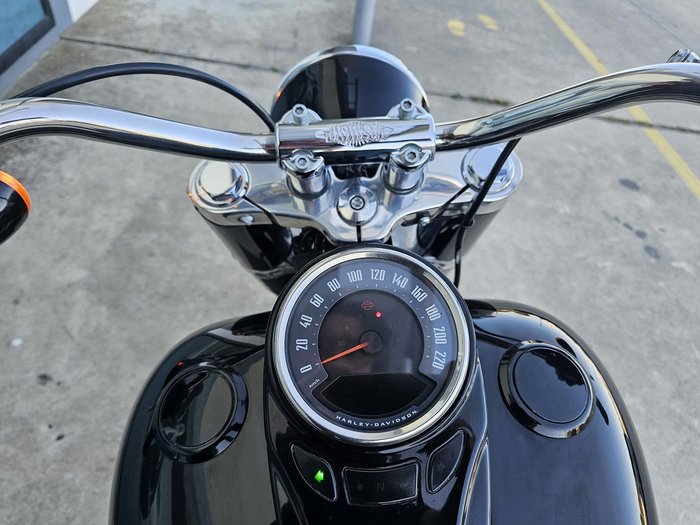 2021 Harley-Davidson Slim 107 (FLSL) Softail Black