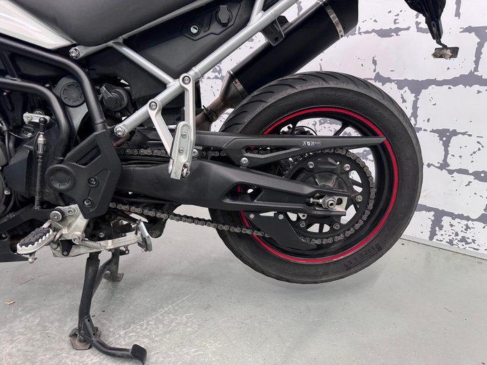 2023 Triumph Tiger 900 GT Pro Tiger White