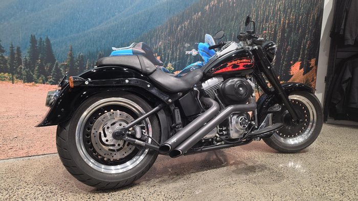 2010 Harley-Davidson Fat Boy Lo 1584 (FLSTFB)