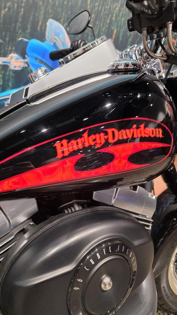 2010 Harley-Davidson Fat Boy Lo 1584 (FLSTFB)