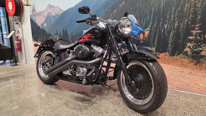 2010 Harley-Davidson Fat Boy Lo 1584 (FLSTFB)