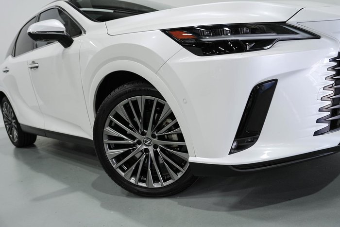 2025 Lexus RX 350h Sports Luxury