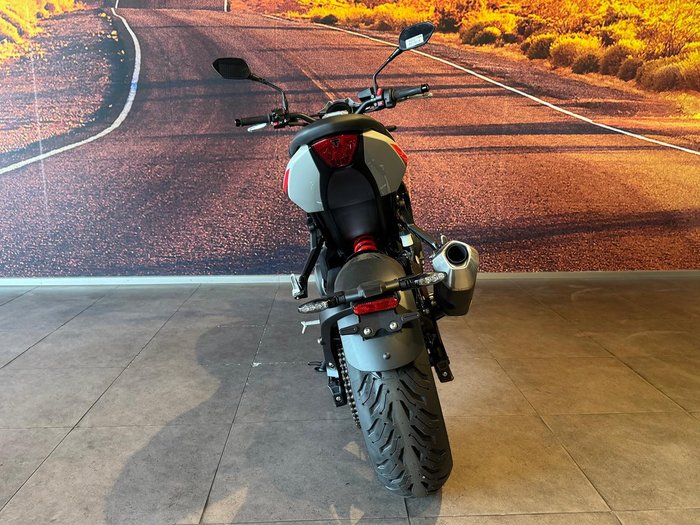 2026 Triumph Trident 800 Trident Grey
