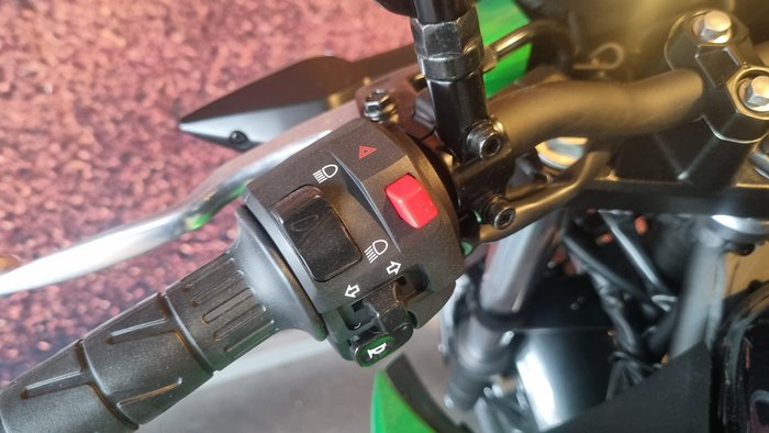 2026 Kawasaki Z500 (ER500) Z Green