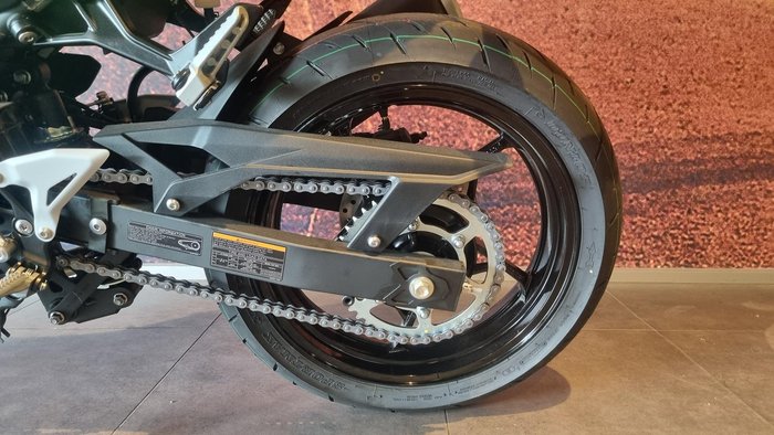 2026 Kawasaki Z500 (ER500) Z Green