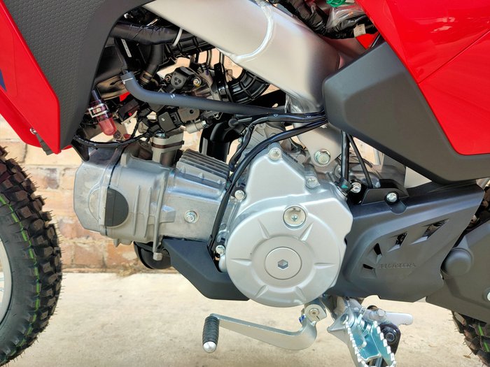 2027 HONDA CRF110F MINI BIKE RED