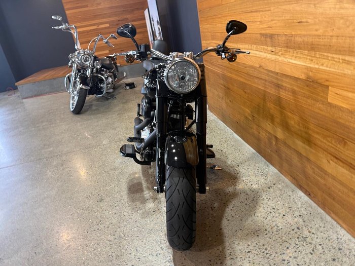 2010 Harley-Davidson Fat Boy Lo 1584 (FLSTFB)