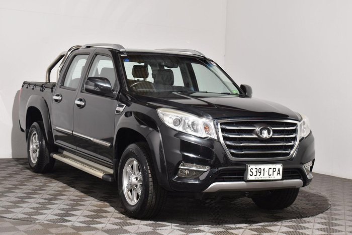 2019 Great Wall Steed