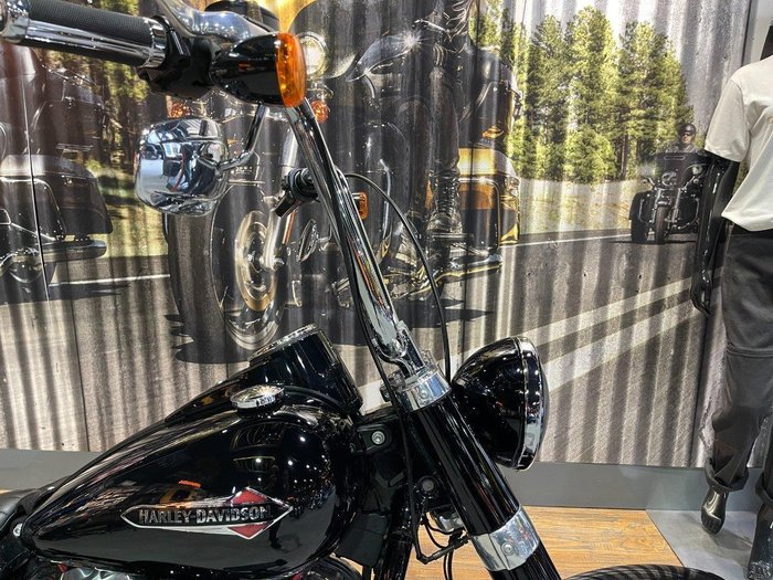 2020 Harley-Davidson Slim 107 (FLSL)