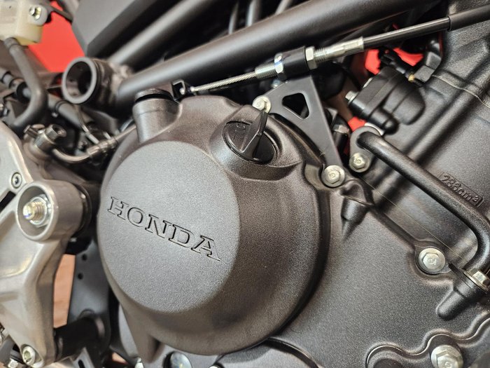 2023 Honda CB300R (CB300RA) CB300 Red