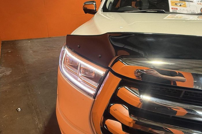 2021 GWM Ute Cannon-X