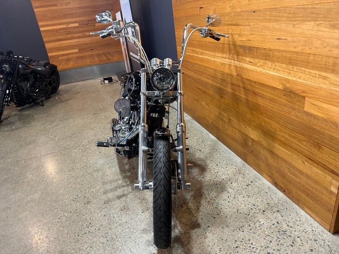2008 Harley-Davidson Softail Custom 1584 (FXSTC)