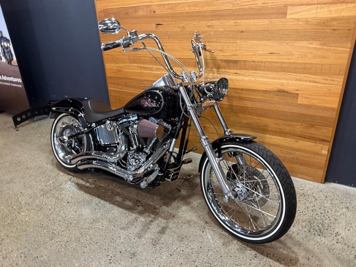 2008 Harley-Davidson Softail Custom 1584 (FXSTC)