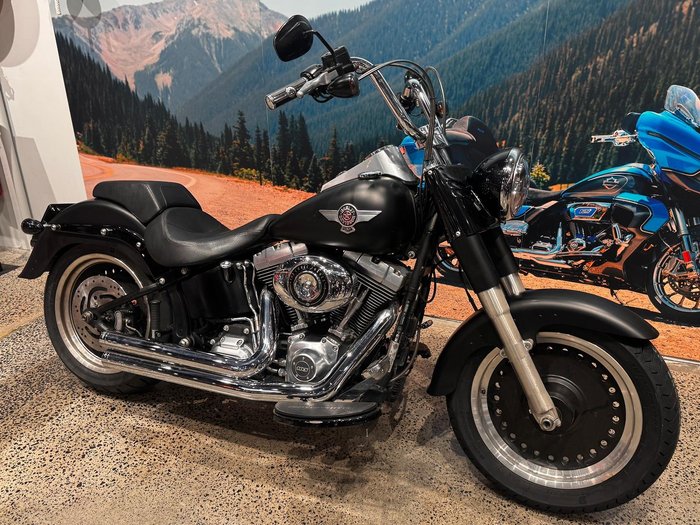 2013 Harley-Davidson Fat Boy Lo 1690 (FLSTFB)