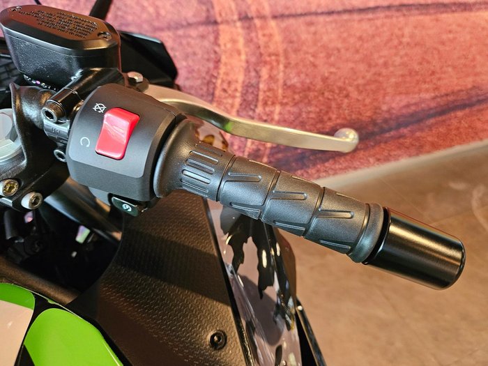 2026 Kawasaki Ninja 500 (EX500G) Ninja Black