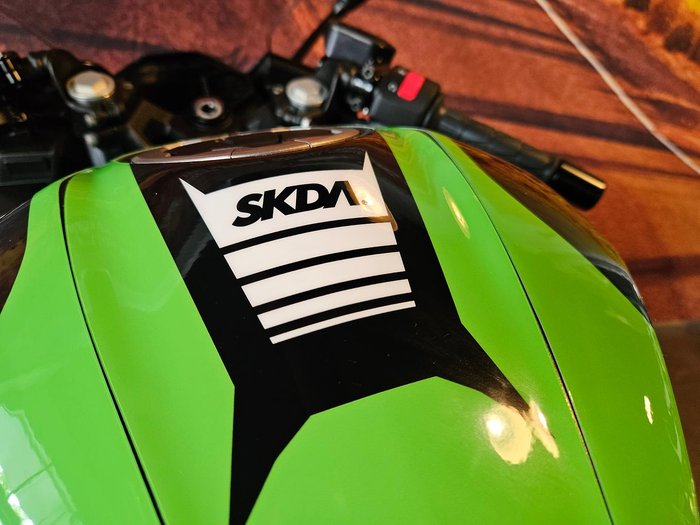 2026 Kawasaki Ninja 500 (EX500G) Ninja Black