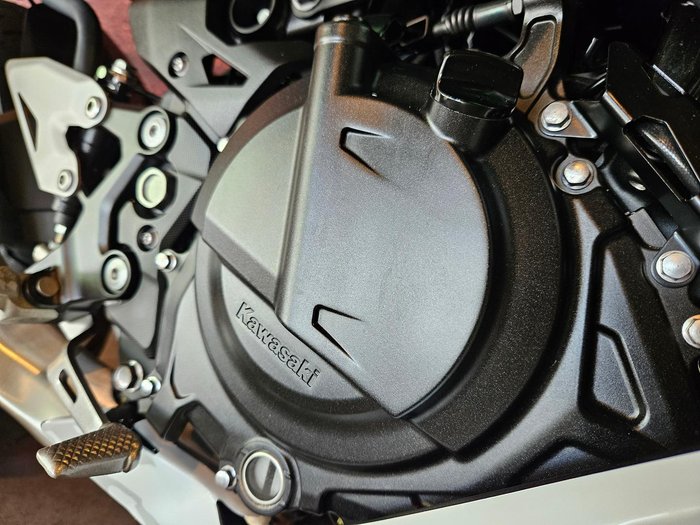 2026 Kawasaki Ninja 500 (EX500G) Ninja Black