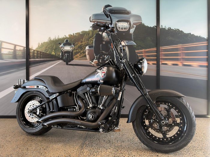 2010 Harley-Davidson Fat Boy Lo 1584 (FLSTFB)
