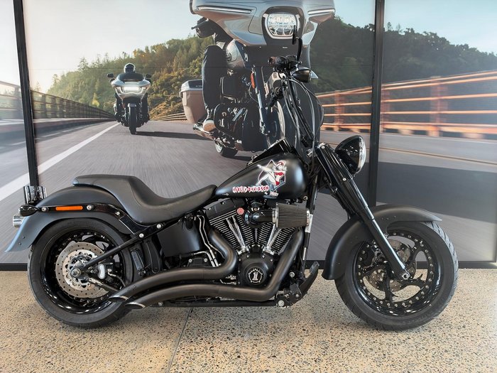 2010 Harley-Davidson Fat Boy Lo 1584 (FLSTFB)
