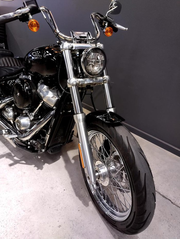 2021 Harley-Davidson Softail Standard 107 (FXST)
