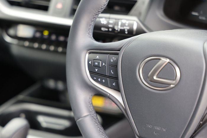 2025 Lexus UX300h Sports Luxury AWD