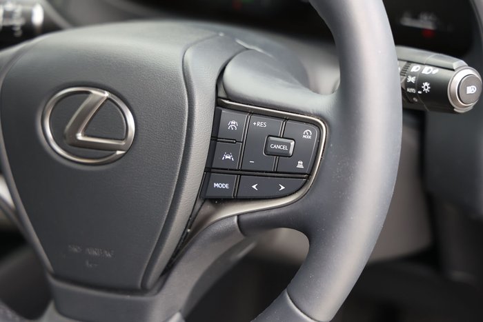 2025 Lexus UX300h Sports Luxury AWD