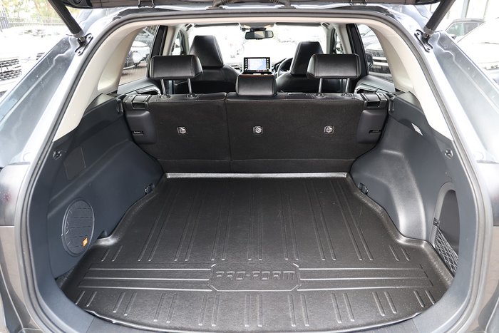 2020 Toyota RAV4 Cruiser