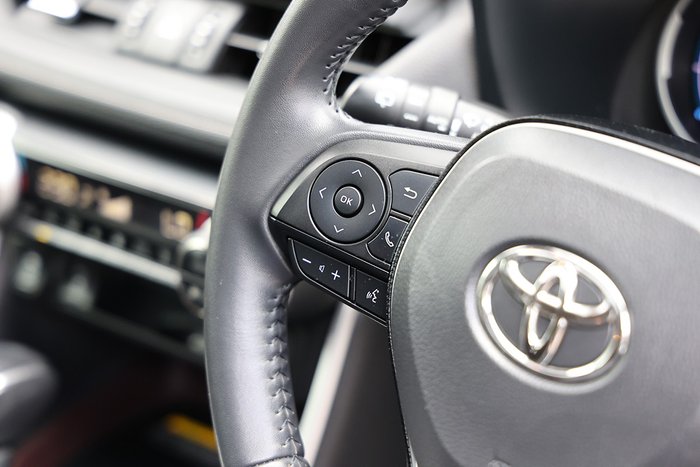 2020 Toyota RAV4 Cruiser