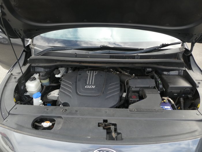 2015 Kia Carnival Platinum