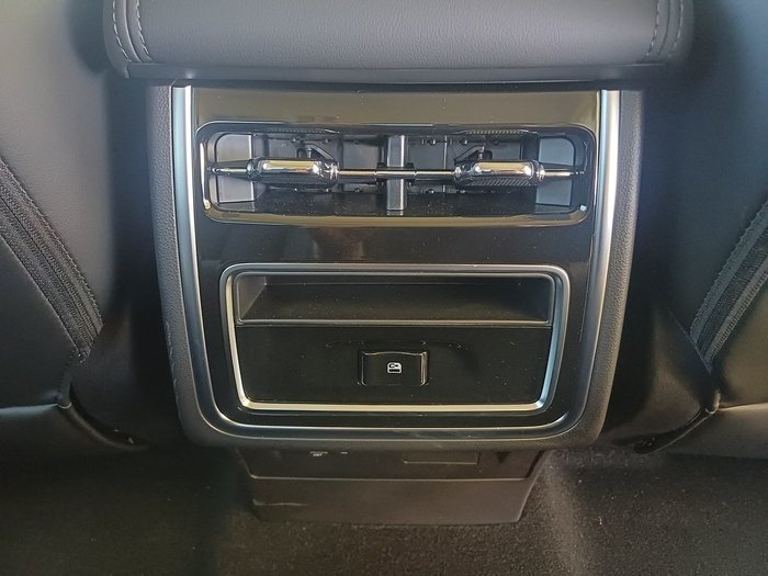 2025 GWM CANNON ALPHA ULTRA