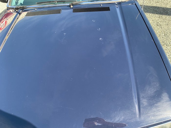 1982 HOLDEN COMMODORE VH      SLE SLE BLUE