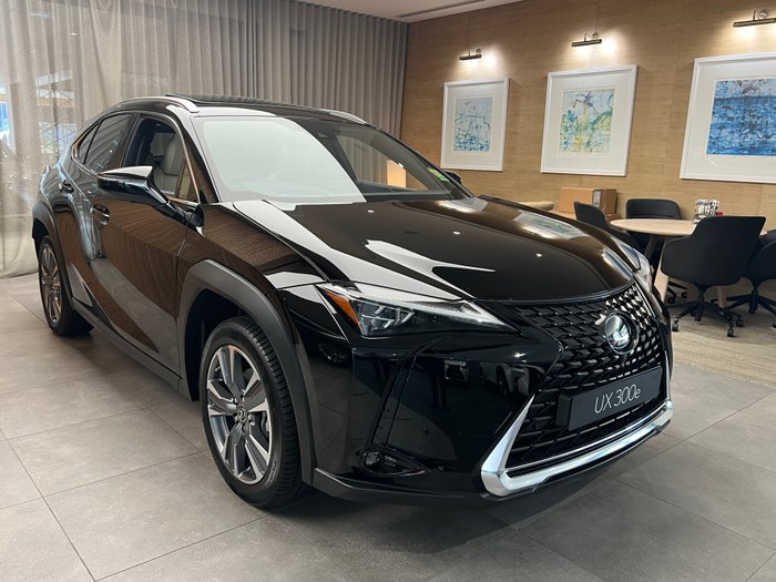2023 Lexus UX UX300e Sports Luxury