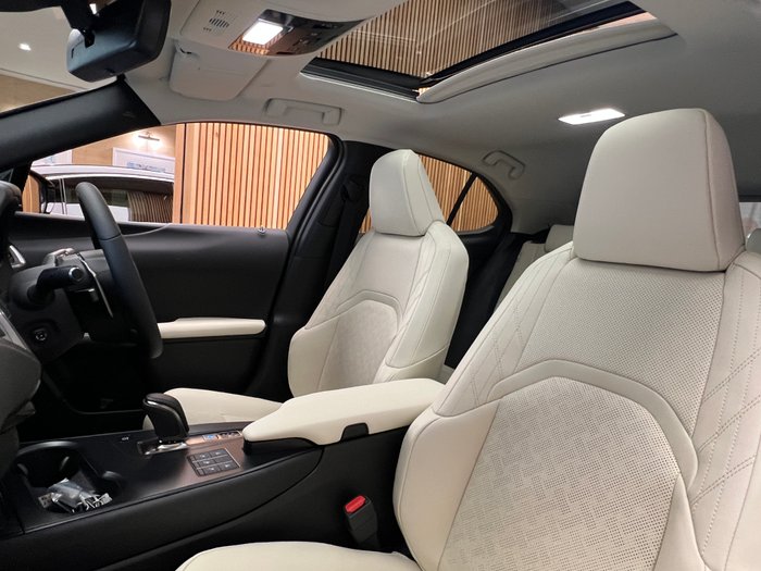 2023 Lexus UX UX300e Sports Luxury