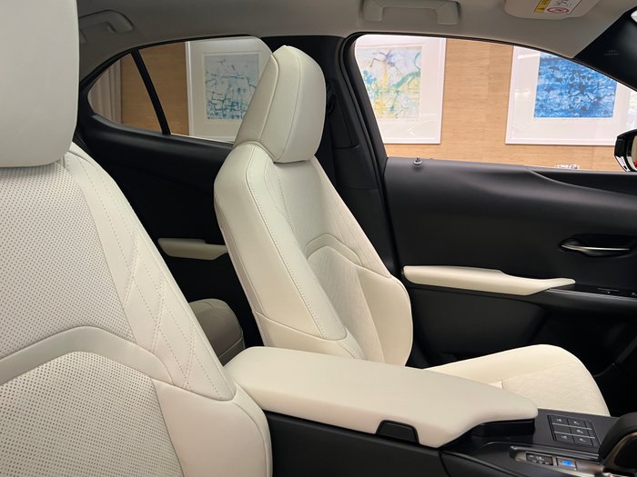 2023 Lexus UX UX300e Sports Luxury