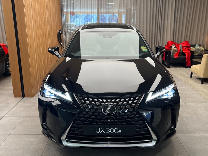 2023 Lexus UX UX300e Sports Luxury