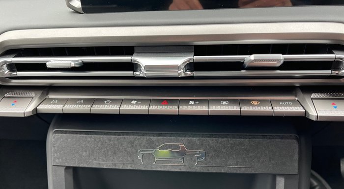 2025 LDV Terron 9 Origin