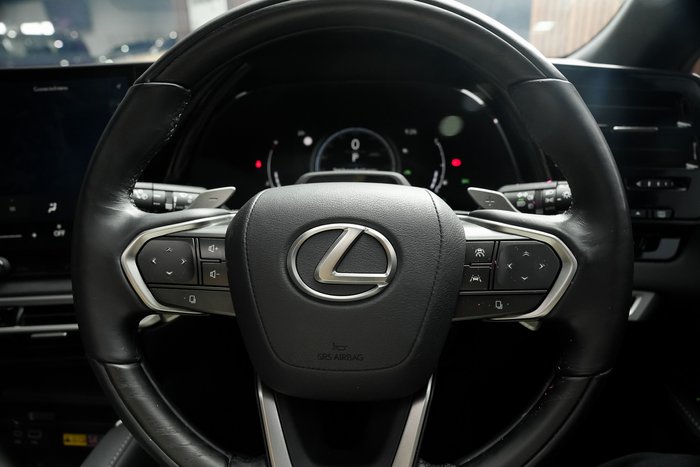 2024 Lexus RX 350h Sports Luxury