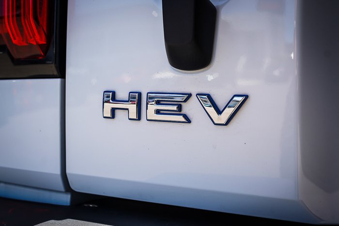 2023 GWM GWM TANK 300