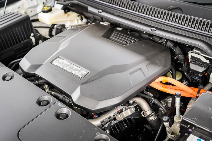 2025 GWM GWM TANK 500