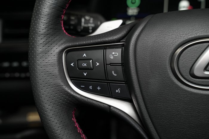 2024 Lexus UX 300h F Sport